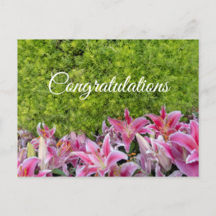 Roze Lelie bloemen op groen plant Gefeliciteerd Briefkaart
