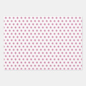 Roze Lelie Bloementuin Bruiloft Shower Inpakpapier Vel (Voorkant)