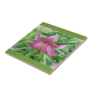 Roze lelie decoratieve tegel tegeltje