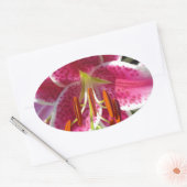 Roze lelie roze bloemenroze bloem tropische bloem ovale sticker (Envelop)