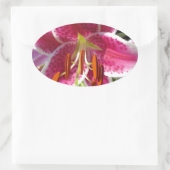 Roze lelie roze bloemenroze bloem tropische bloem ovale sticker (Tas)