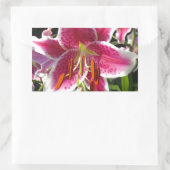 Roze lelie roze bloemenroze bloem tropische bloem rechthoekige sticker (Tas)