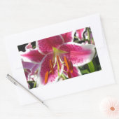 Roze lelie roze bloemenroze bloem tropische bloem rechthoekige sticker (Envelop)