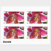 Roze lelie roze bloemenroze bloem tropische bloem rechthoekige sticker (Vel)