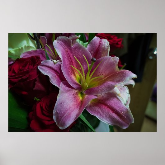 ROZE LELIEBLOEM POSTER (Voorkant)