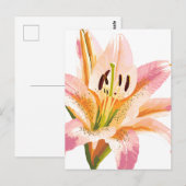 roze leliebloem | Waterverf bloemenschilderij Briefkaart (Voorkant / Achterkant)