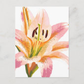 roze leliebloem | Waterverf bloemenschilderij Briefkaart (Voorkant)