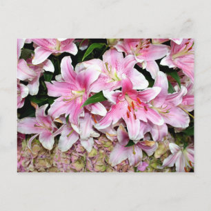 Roze lelies en hortensia briefkaart