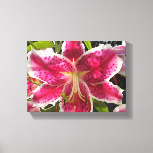 Roze lelies roze tropische bloemen roze bloemig canvas afdruk (Voorkant)