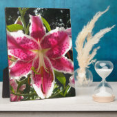 Roze lelies roze tropische bloemen roze bloemig fotoplaat (Zijkant)