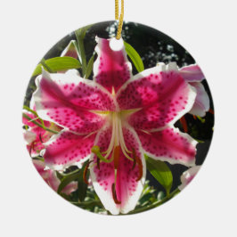Roze lelies roze tropische bloemen roze bloemig keramisch ornament