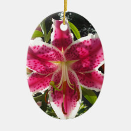 Roze lelies roze tropische bloemen roze bloemig keramisch ornament