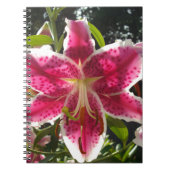 Roze lelies roze tropische bloemen roze bloemig notitieboek (Voorkant)