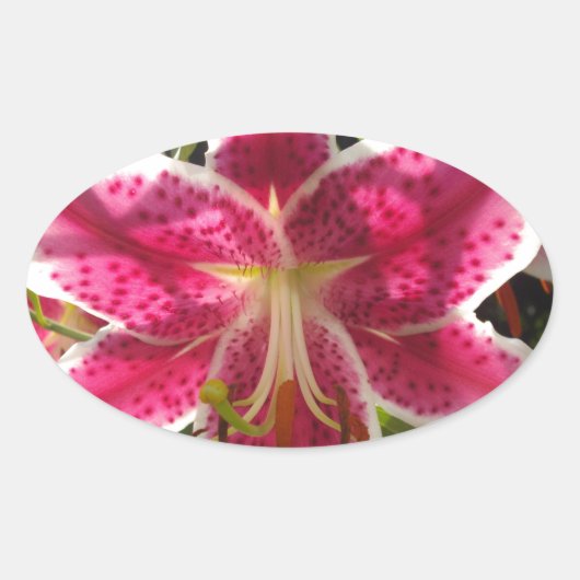 Roze lelies roze tropische bloemen roze bloemig ovale sticker (Voorkant)