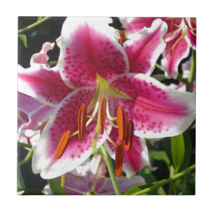 Roze lelies roze tropische bloemen roze bloemig tegeltje