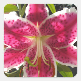 Roze lelies roze tropische bloemen roze bloemig vierkante sticker