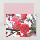 roze lentbloem briefkaart (Voorkant / Achterkant)