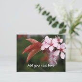 roze lentbloemen briefkaart (Staand voorkant)