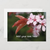 roze lentbloemen briefkaart (Voorkant / Achterkant)