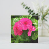 roze lentbloemen macrofotografie (Staand voorkant)