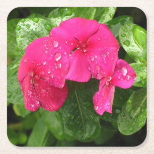  roze lentbloemen macrofotografie kartonnen onderzetters