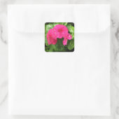  roze lentbloemen macrofotografie vierkante sticker (Tas)