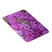 Roze lente-azalea's magneet (Rechterzijde)