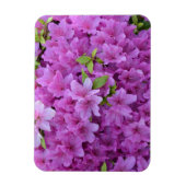 Roze lente-azalea's magneet (Verticaal)