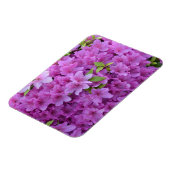 Roze lente-azalea's magneet (Linkerzijde)