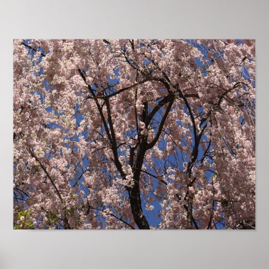 Roze lente bloem Umbrella Blue Sky Poster (Voorkant)