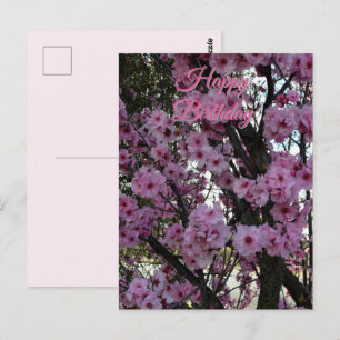 Roze Lente Bloesem Boom, Verjaardagsansichtkaart Briefkaart