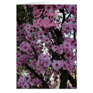 Roze Lente Bloesem Boom, Verjaardagskaart