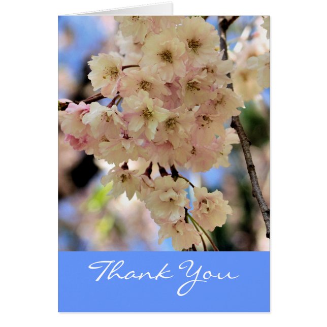 Roze lente bloesem Dank je wel (Voorkant)