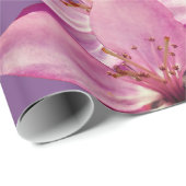 Roze lente bloesems cadeaupapier (Rol Hoek)