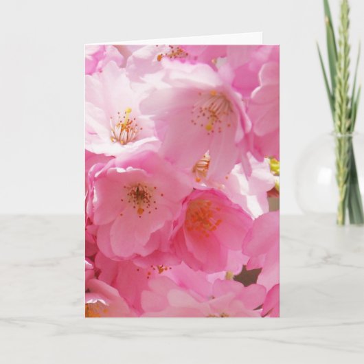 Roze lente bloesems kaart (Voorkant)