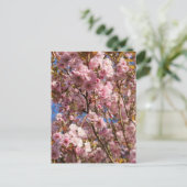 Roze lente kersenbloesem briefkaart (Staand voorkant)