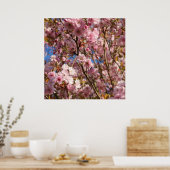 Roze lente kersenbloesem poster (Keuken)