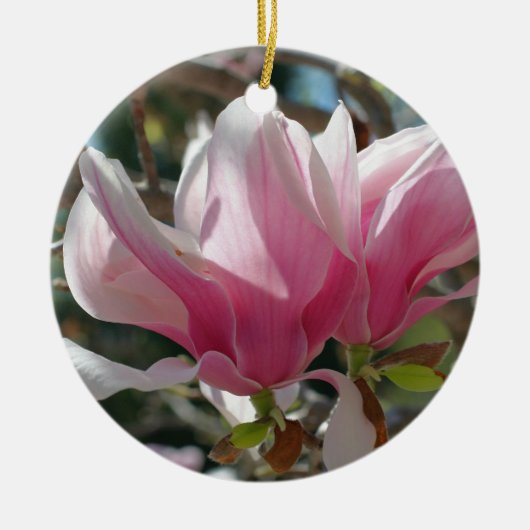 Roze Lente Magnolia Bloesems Flower Ornament (Voorkant)