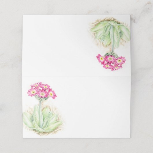 Roze lente primrose bloesem bloemenplaatskaarten plaatskaartje (Buitenkant ongevouwen)