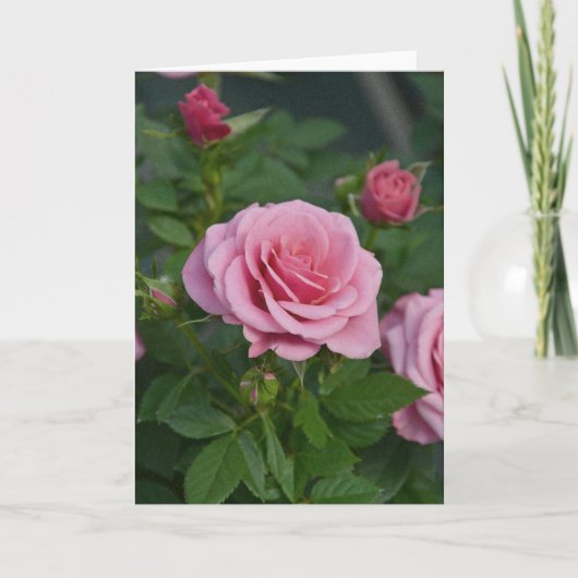 Roze lente rozen print kaart (Voorkant)