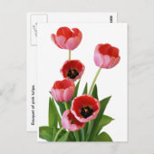 Roze lente tulp boeket foto briefkaart (Voorkant / Achterkant)