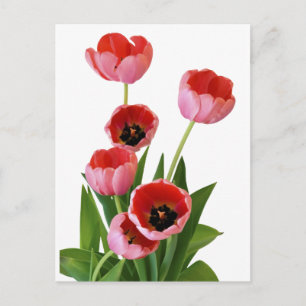 Roze lente tulp boeket foto briefkaart
