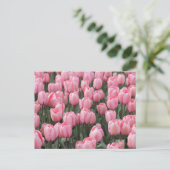 Roze lente tulpenbloemen briefkaart (Staand voorkant)