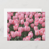 Roze lente tulpenbloemen briefkaart (Voorkant / Achterkant)