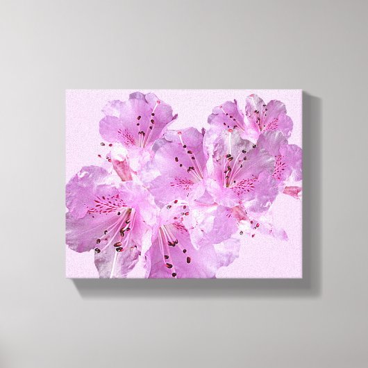 roze lentebloesem bloesem mooi modern canvas afdruk (Voorkant)