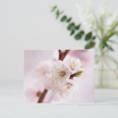 Roze lentebloesems briefkaart (Staand voorkant)