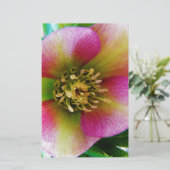 Roze Lenten-Roos, Briefpapier (Staand voorkant)