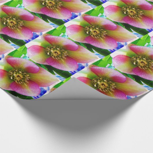 Roze Lenten-Roos, Cadeaupapier (Hoek)