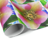 Roze Lenten-Roos, Cadeaupapier (Rol Hoek)