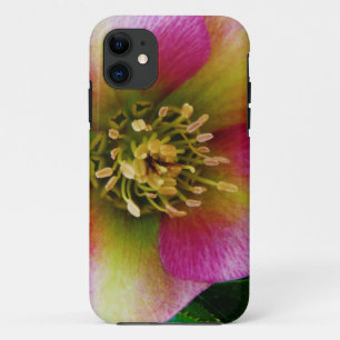 Roze Lenten-Roos, Case-Mate iPhone Case